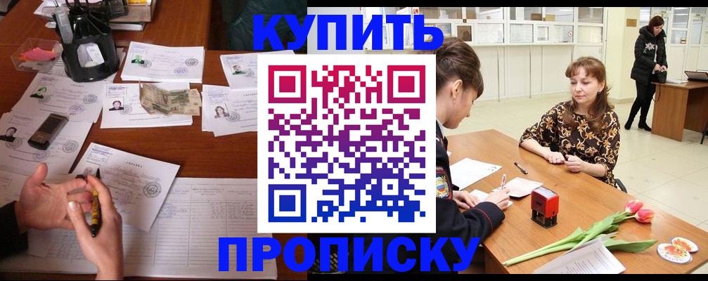 купить прописку в Мытищах